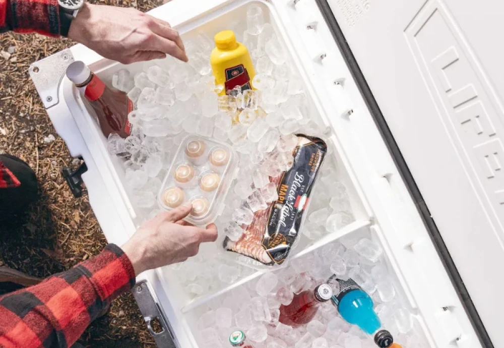 portable ice cream cooler box