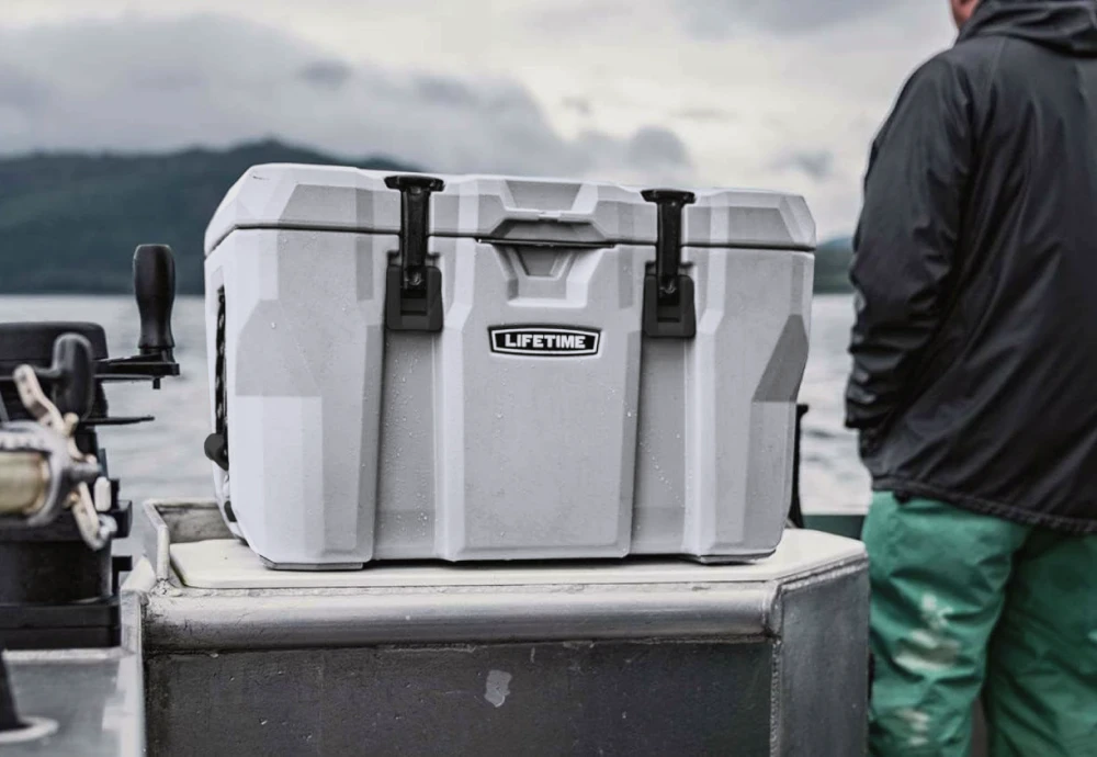 portable ice cream cooler box